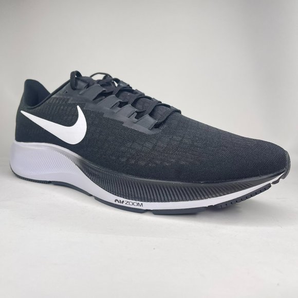 nike air pegasus size 16